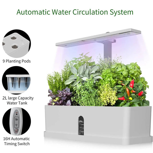 Indoor Hydroponics Growing System