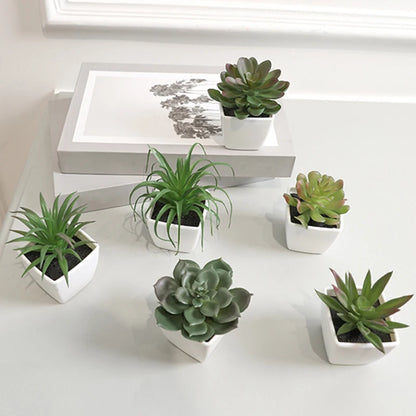 6PCS Mini Evergreen Artificial Succulent Potted Plants