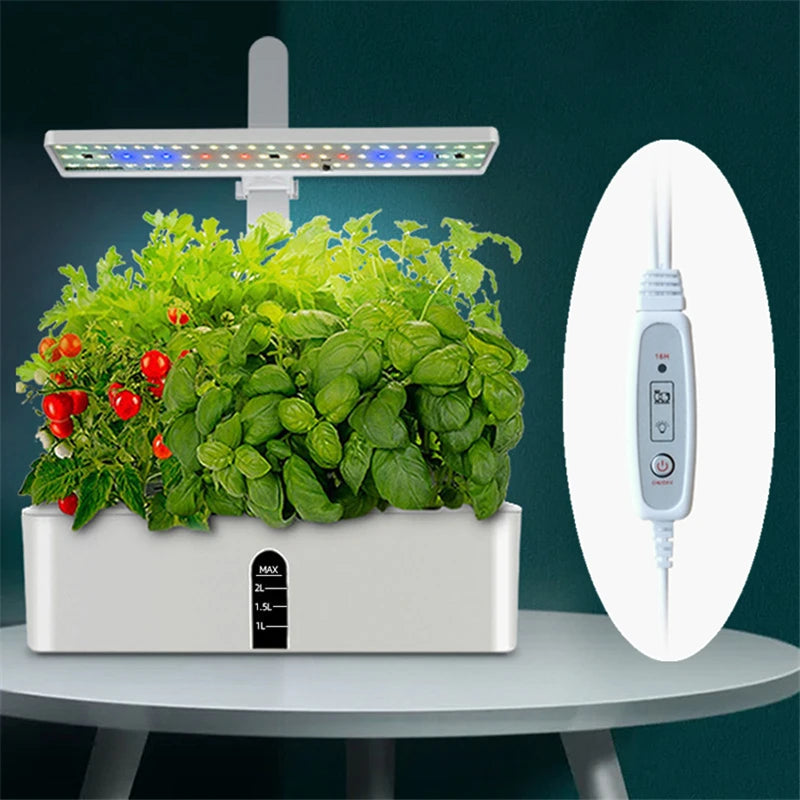 Indoor Hydroponics Growing System